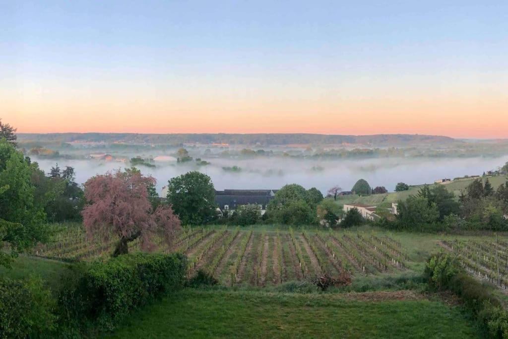 Maison Vue Panoramique Depuis Le Coteau De Шинон Екстериор снимка