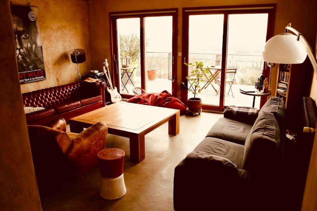 Maison Vue Panoramique Depuis Le Coteau De Шинон Екстериор снимка